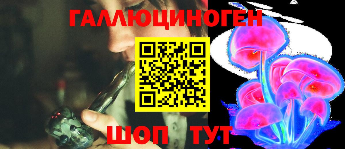 Орёл  Псилоцибиновые грибы GOLDEN TEACHER  Вход с VPN 
